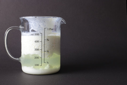 Organic probiotic milk kefir drink or yogurt in scale glass cap. Probiotic cold fermented dairy drink. Copy space