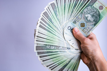 polish zloty currency, poland money, hand holding polish cash on the white background Polish Zloty...