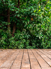 Wooden terrace with tree forest and bush background in spring sunny day