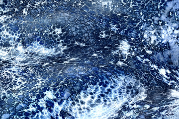 The texture of the wet skin of a large octopus. Abstract background. Blue.