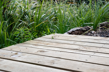 Close-up view of wooden footpath at hiking rail