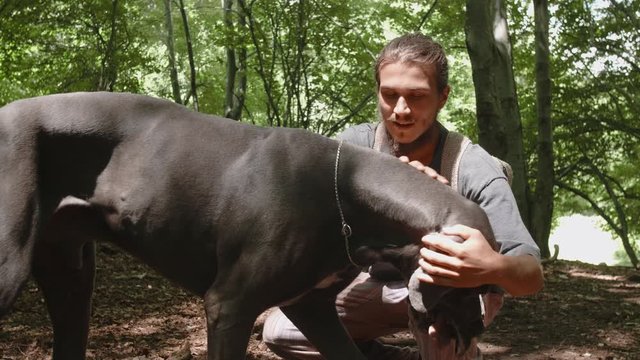 Man playing with a jumping great dane in a forest