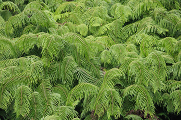 うさぎ島のうさちゃんシリーズ