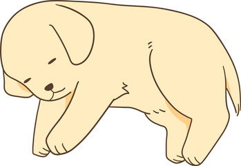 ゴールデンレトリバーの子犬（寝る/横になる）