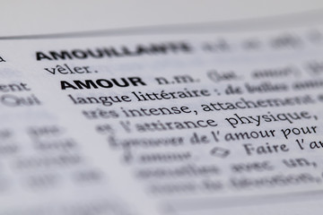 D&eacute;finition du mot amour dans le dictionnaire fran&ccedil;ais