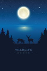 wildlife elk in the wilderness by the lake with full moon in a starry night vector illustration EPS10