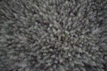 Avon Valley Landscapes