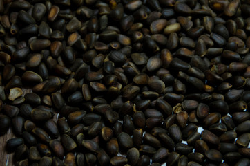 pine nuts from Siberia