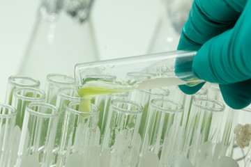 Marine plankton or Microalgae culture into a test tube in laboratory - obrazy, fototapety, plakaty