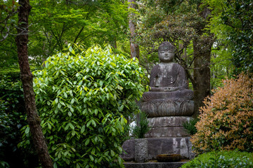Estatua de Buddha en medio del bosque