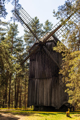 Fototapeta na wymiar old windmill in forest