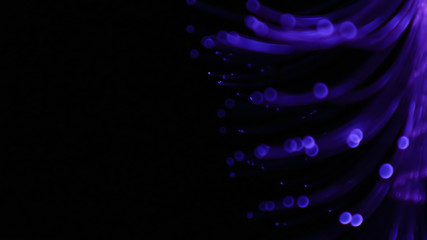 Bokeh images from LED lighting trees use various color blurring methods.