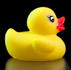 Yellow rubber ducky on black background with reflection in foreground.