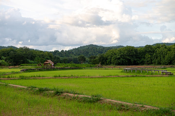 Forest and mountain in Sangkhlaburi District, Kanchanaburi Thailand 2019.