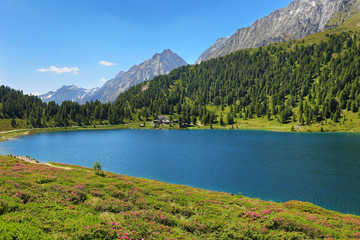 Fototapeta na wymiar Obersee lake in Stalle Pass, frontier between Italy and Austria