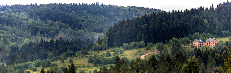 unfinished houses in the forest