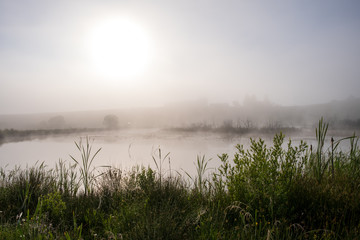 A mountain lake surrounded by sedge and other lake plants