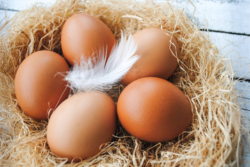 Brown chicken eggs and feathers in a nest.