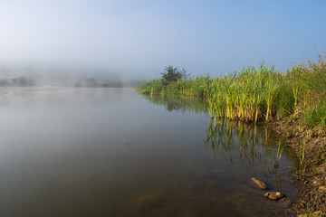 A mountain lake surrounded by sedge and other lake plants