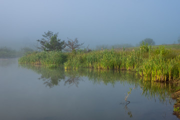 A mountain lake surrounded by sedge and other lake plants