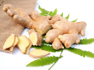 Fresh ginger root on fern leaves