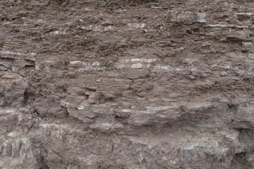 Section of the earth with white stripes of quartz. Crystal ore in red earth. Minerals.
