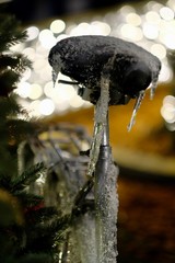 detail of a frozen bicycle