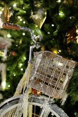 detail of a frozen bicycle