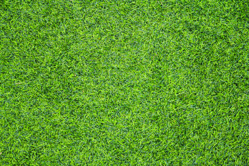green grass texture background