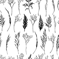 Vector seamless pattern : linear hand drawn silhouettes of  hebs, branches, leaves. Black and white. Textile, fabric, wrapping paper botanical design.