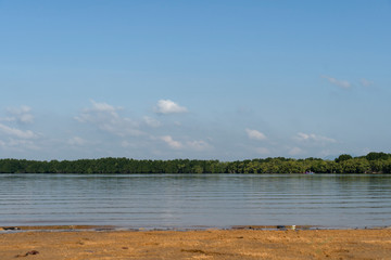 The large riverside sandy beach has a green mangrove forest area as a background under the blue sky. At Shrine of king Taksin  Chanthaburi Thailand.