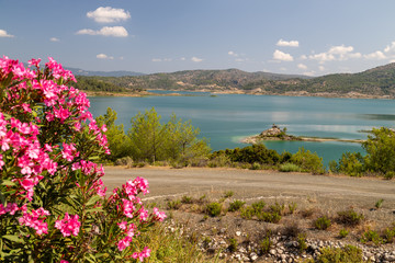 Scenic view at the Gadoura water reservoir on Rhodes island, Greece with blue and turquoise water, pink flowering shrub in the foreground and green landscape around the lake