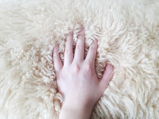 hand on white soft fur