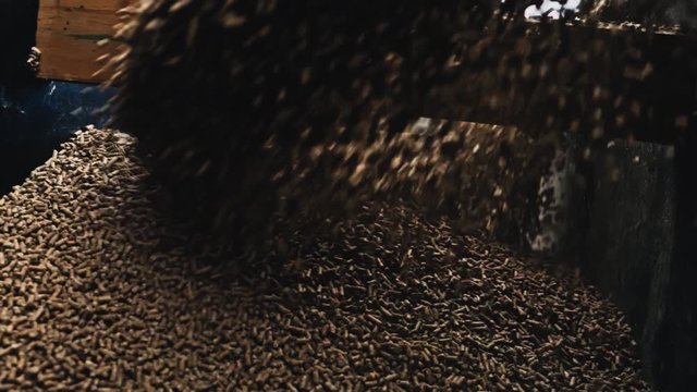 Grain pellets flood into a trough for duck feed. Slow Motion