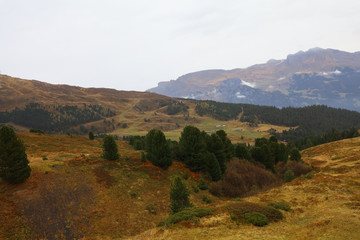 Fototapeta na wymiar View of Landscape mountain in autumn nature and environment at interlaken,swiss