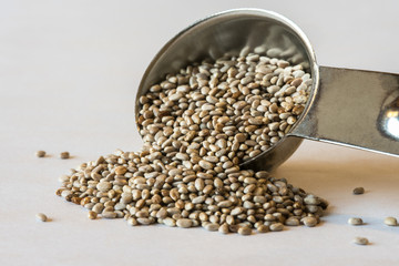 White Chia Seeds Spilled from a Teaspoon