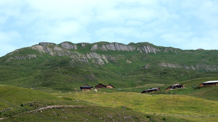 landscape in the mountains