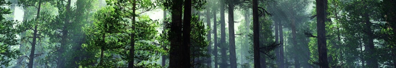 Panorama of trees in the morning fog, forest in smoke, 3D rendering.