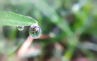 macro photography of  rain drop on a grass leaf  with blur background, save environment, save water, save earth concept 