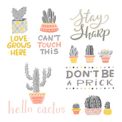 Vector Lettering and Cactus collection design art