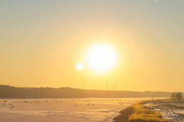 sunset over wheat field