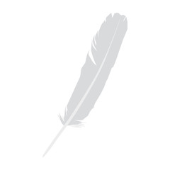 Feather isolated on white background. Feather icon.