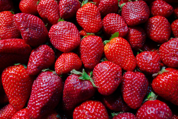 Bright red strawberries on the counter of a fruit shop.