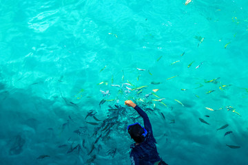 A man snorkeling in  water and give a food for fish.