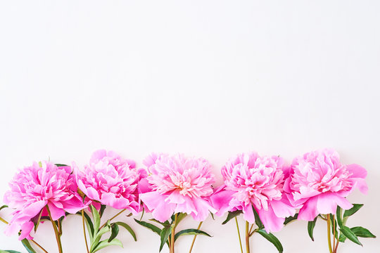 Flat lay composition with pink peonies on a white background