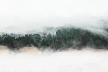 Raamstickers Humeurig boslandschap met mist en nevel © XtravaganT