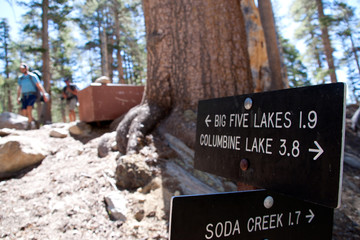 Trail signs, Mineral King, Sequoia National Park