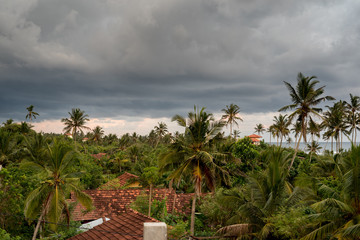 Fototapeta na wymiar Stormy sky above the jungle and ocean