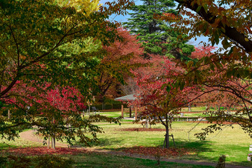 Naklejka premium Yamagata castle park, Yamagata, Japan