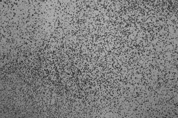 Abstract small gray spots on white paper.